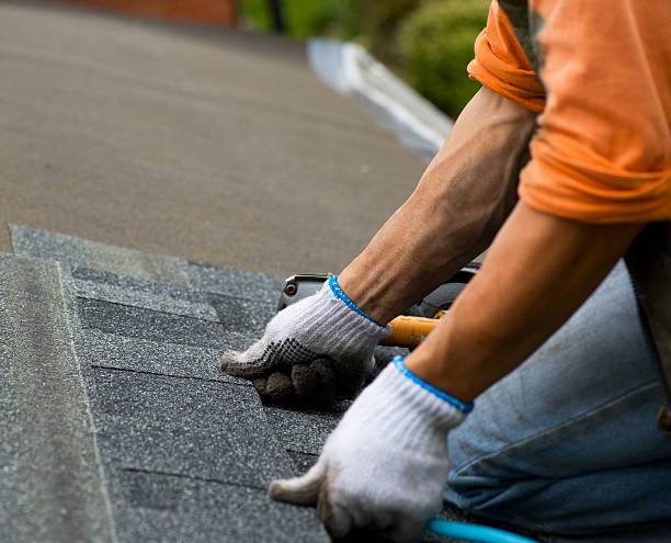 Best Roof Maintenance Services  in Sparks, GA